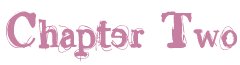 chapter 2